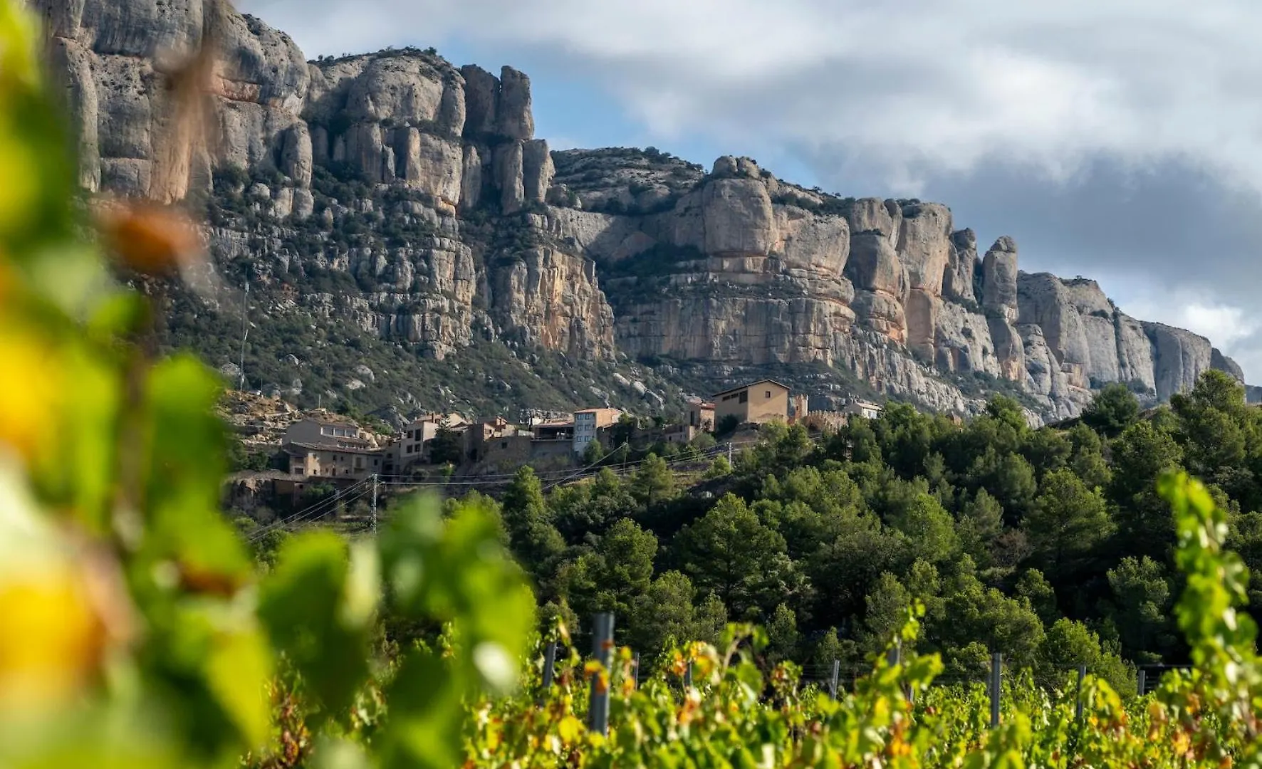 Charming House In The Heart Of Priorat Villa La Morera de Montsant